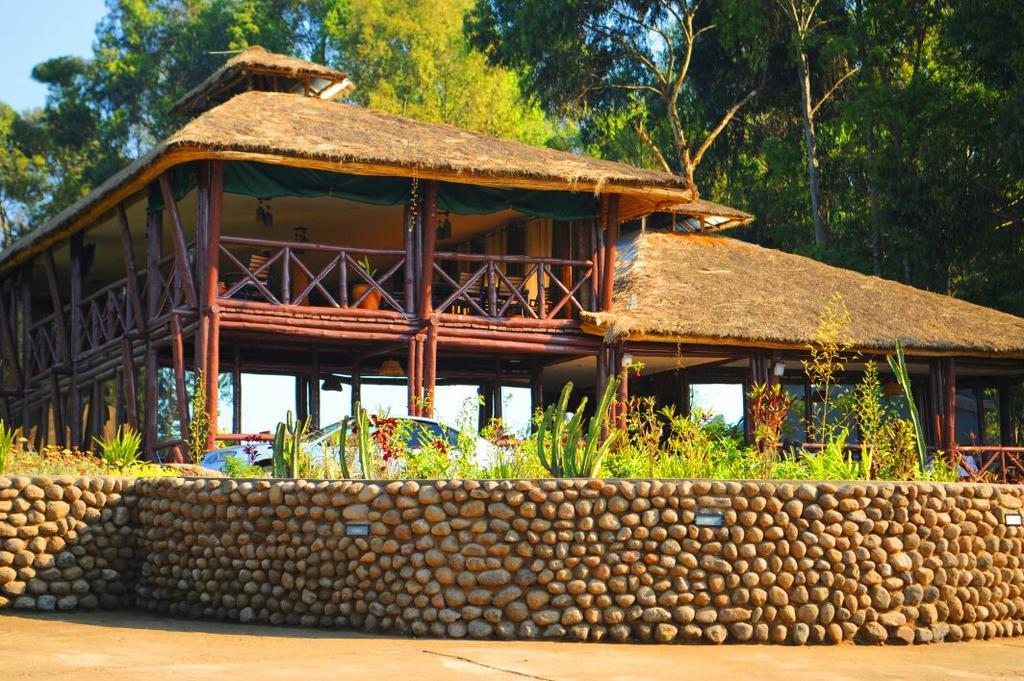 Da Vinci Gorilla Lodge rwanda